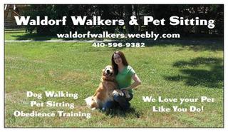 Dog Obedience Training St Mary S County Md Dog Obedience Training St Mary S County Md
